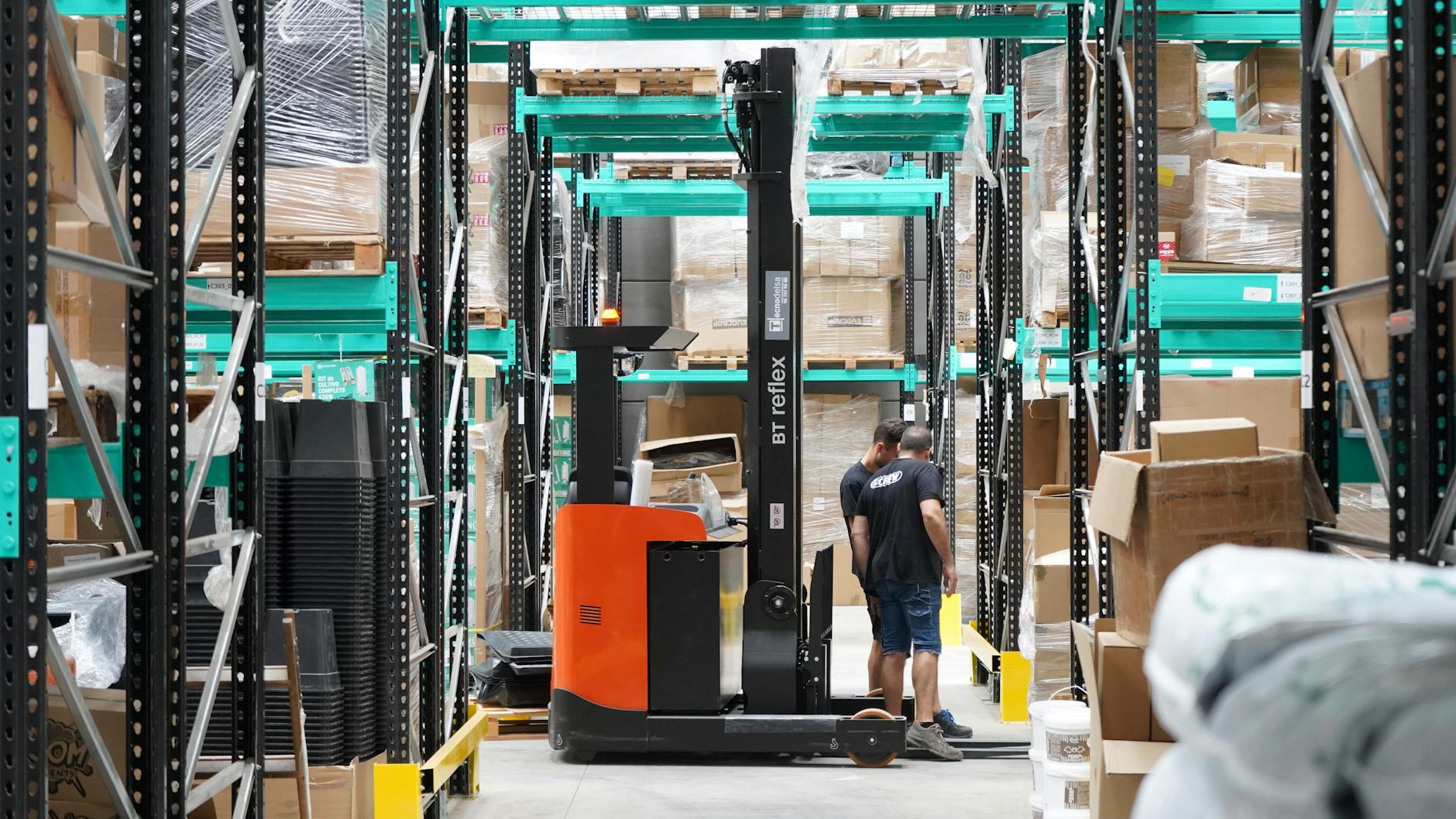 Amazon analyse