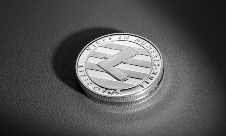 Zilveren munt met Litecoin-logo.